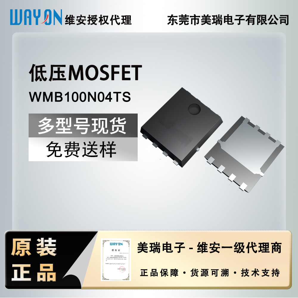 WMB100N04TS